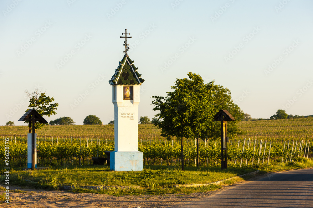 Fototapeta premium God's torture with vineyard near Velke Bilovice, Czech Republic