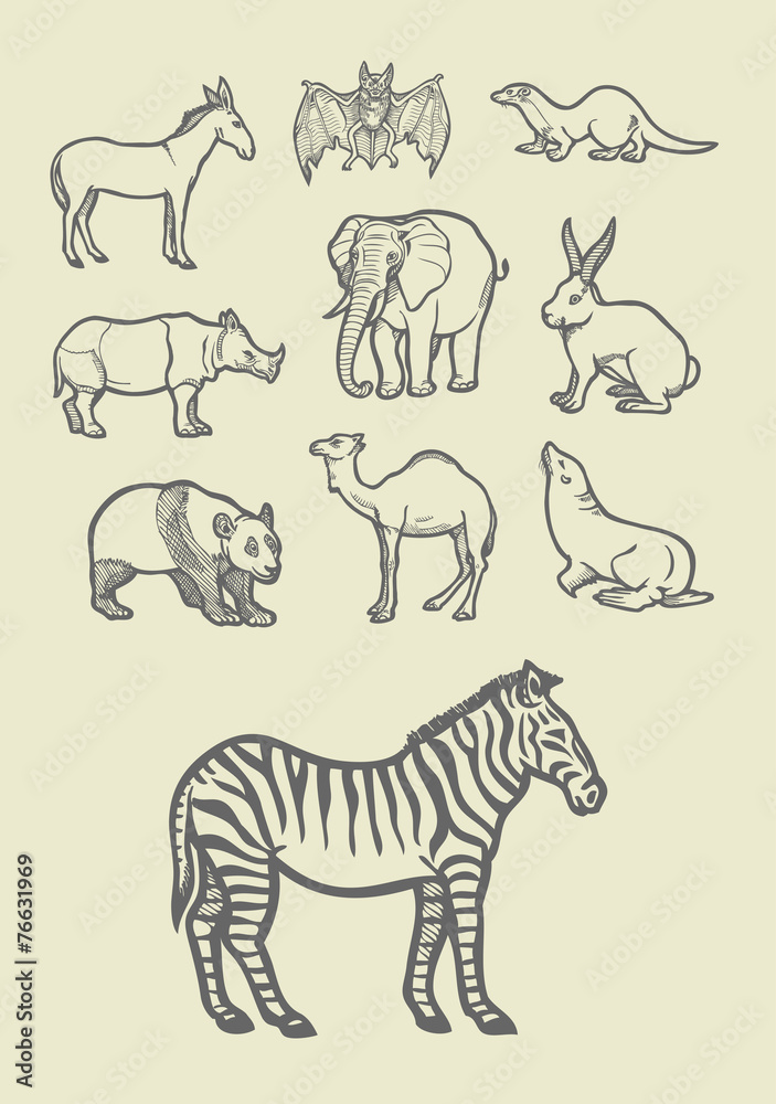 Animal sketches 1