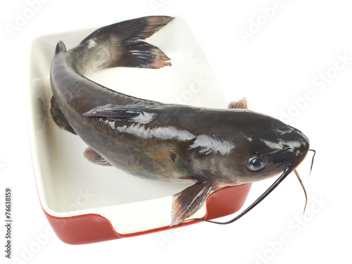 Channel catfish in a ceramic baking dish cooking isolated on whi