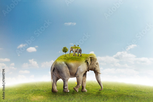 Elephant on green meadow - recursion photo