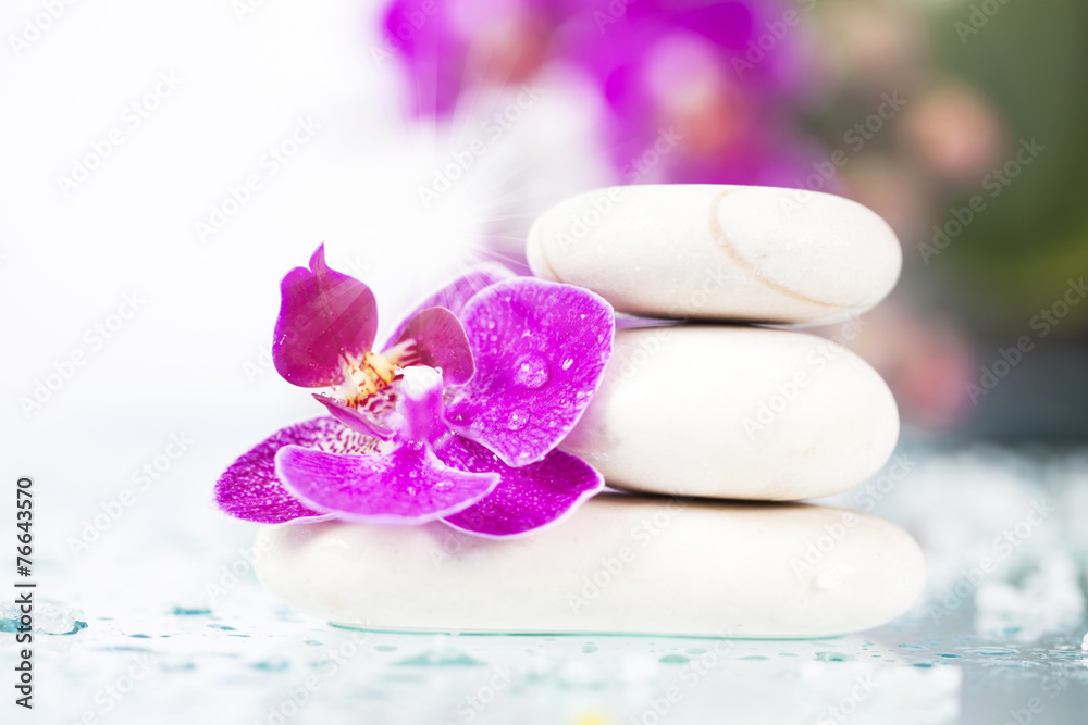 Spa still life with pink orchid and white zen stone Spa still life with pink orchid and white zen stone