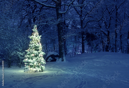 Obraz na plátně Christmas Tree in Snow