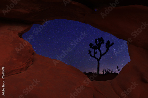 Long Exposure Star Trails In Joshua Tree National Park photo