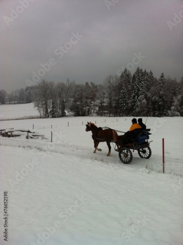 Kutsche im Schnee © Elke Blank