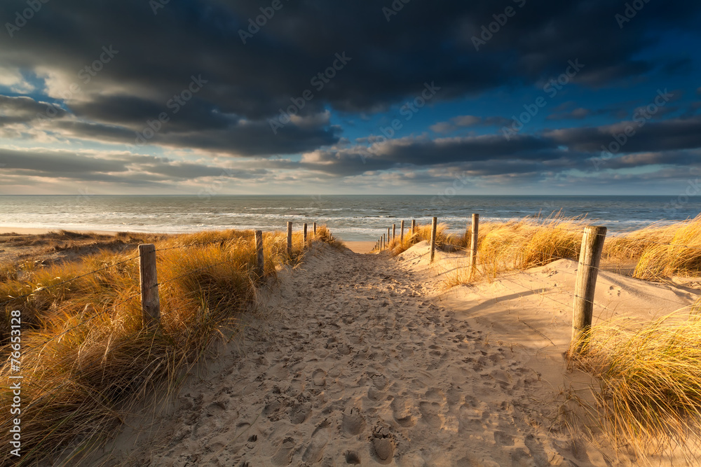 sand path to North sea beach