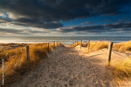 sand path to North sea beach © Olha Rohulya