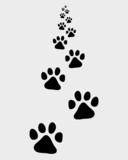 Black trail forward of dog, vector illustration
