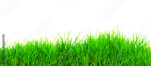 Gras Landschaft