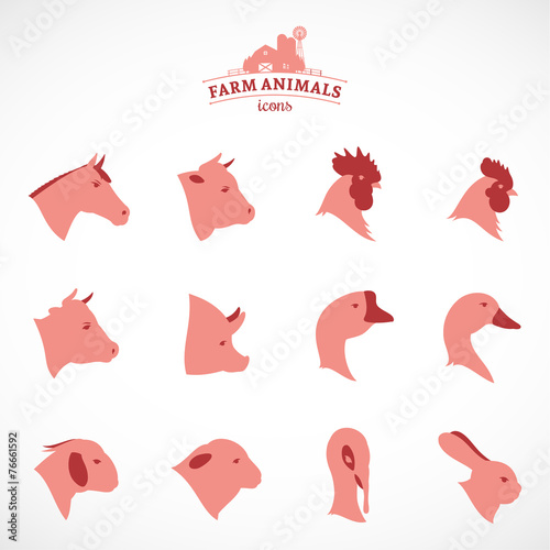 Farm Animal Icons
