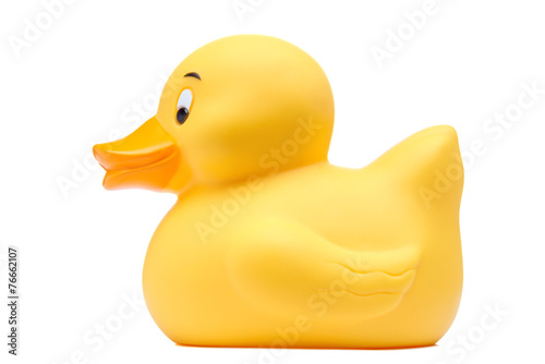 Rubber duck