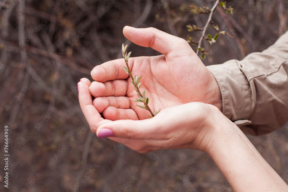 Hands of lovers holding branch with young leaves Hands of lovers holding branch with young leaves