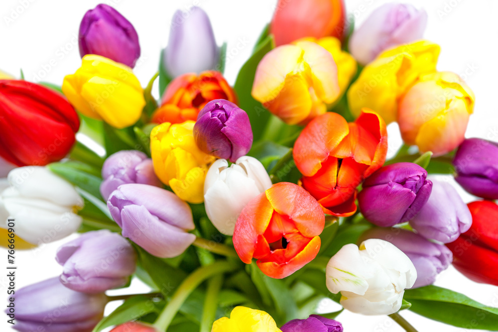 Fototapeta premium Tulpenstrauß