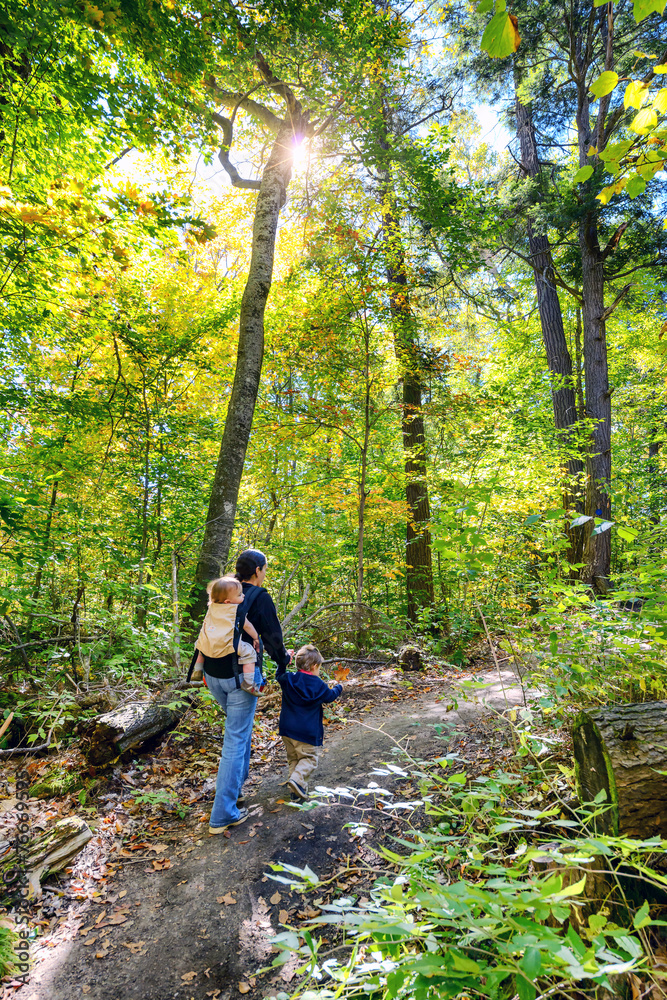 Going for a Hike in the Autumn Forest