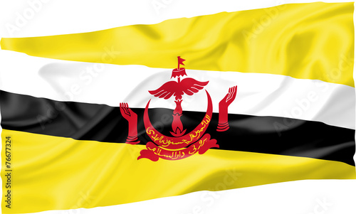 Flag of Brunei photo