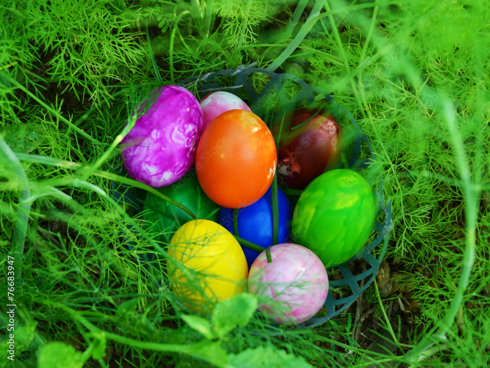 Fototapeta premium Easter Eggs with Fresh Green Grass over white background
