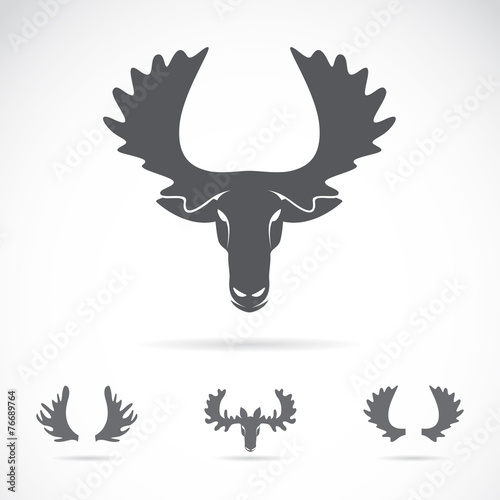 Vector of a moose head on a white background. Animals. © yod67