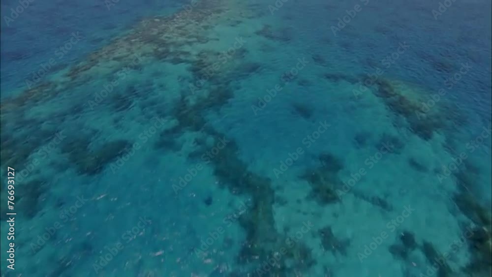Tropical Coral Reef Tropical Coral Reef