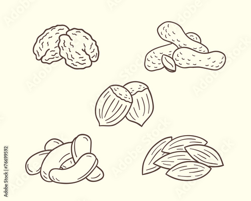 Collections Of Nuts Illustrations In Sketch Style