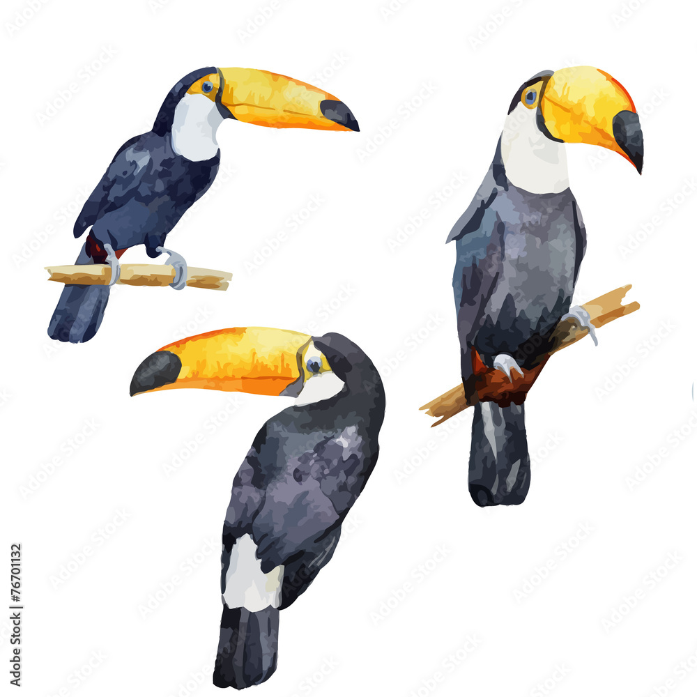 Obraz premium pattern toucan parrot tropical jungle nature background
