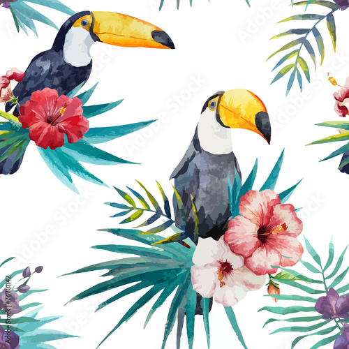 Fototapeta wzór tukan papuga tropikalny dżungli natura tło