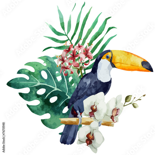 Fototapeta wzór tukan papuga tropikalny dżungli natura tło