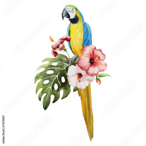pattern toucan parrot tropical jungle nature background