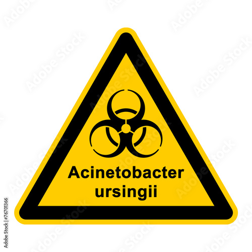 wso126 WarnSchildOrange - acinetobacter ursingii - g3051