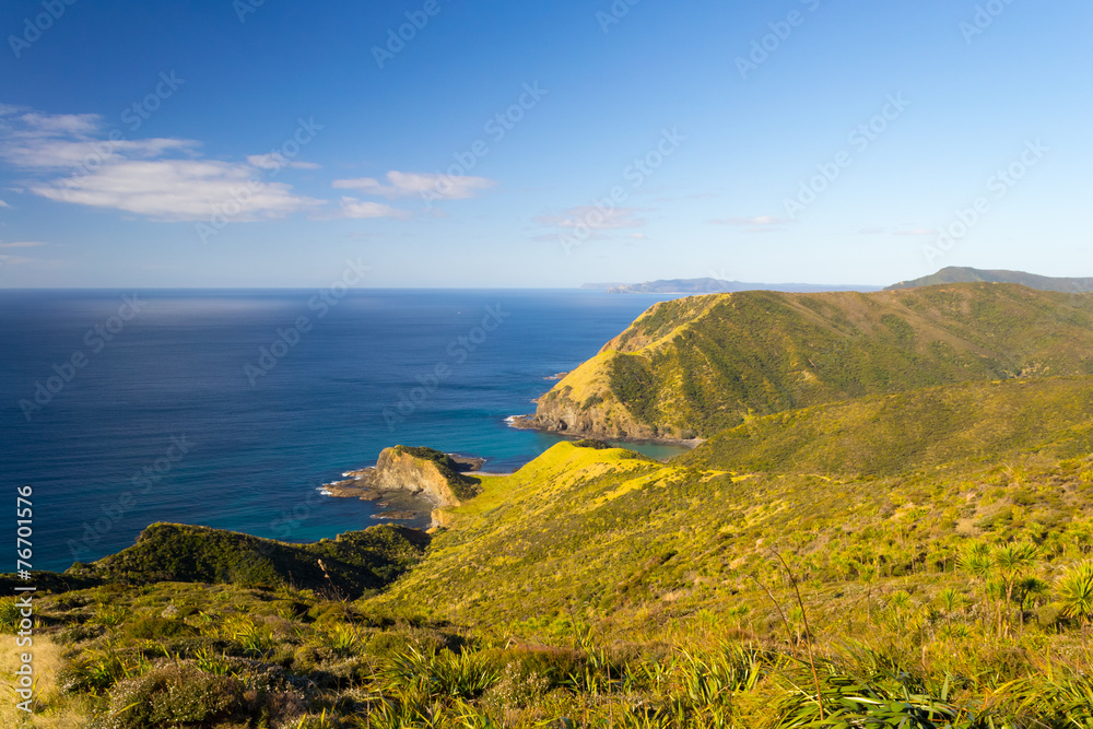 Spirits Bay in a bright day