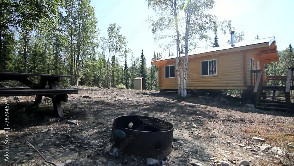 Trees Nature Wood Cabin