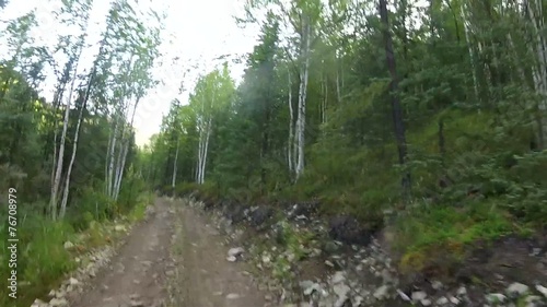 Alaska Forrest ATV photo