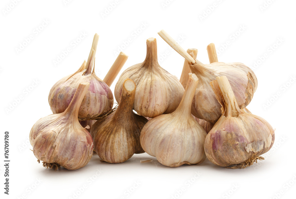 Fototapeta premium Garlic bulbs