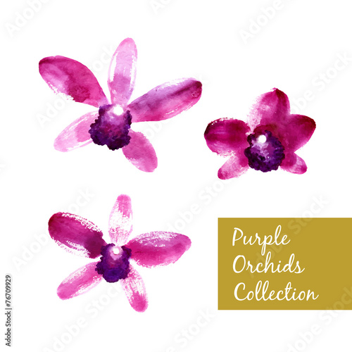 Fototapeta Naklejka Na Ścianę i Meble -  Collection of purple watercolor orchids