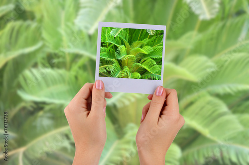 Photo card in hands on palm leaves background photo