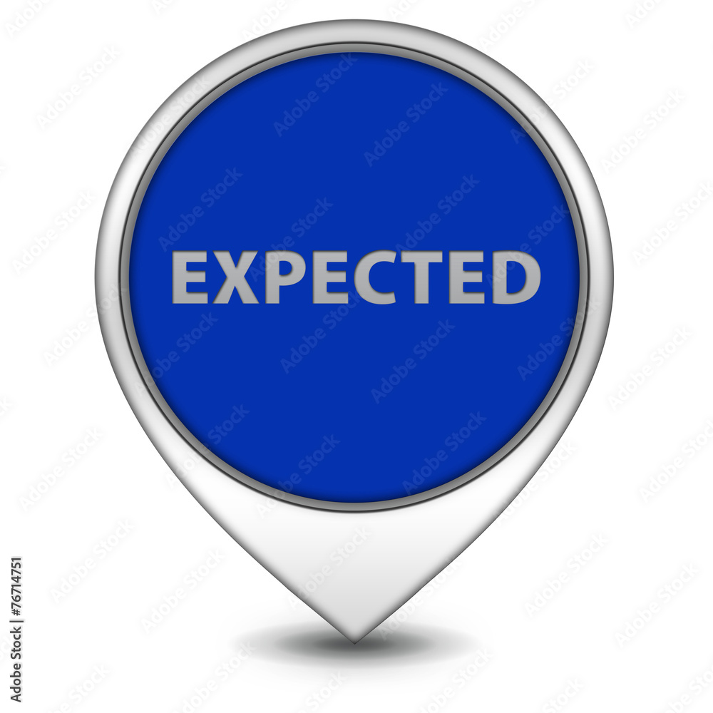 Expected pointer icon on white background Expected pointer icon on white background