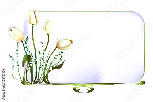 tulipani