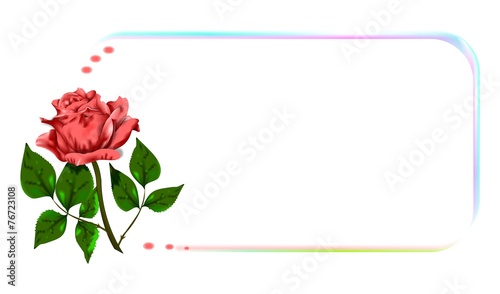 rose