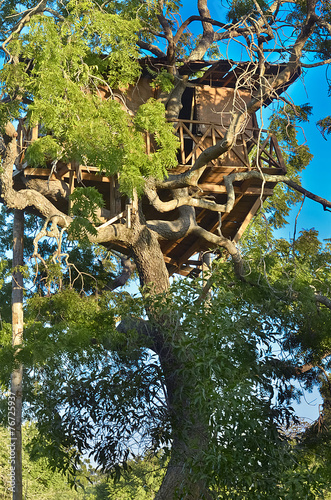 Wildlife Tree House Camp In Yala National Park, Sri Lanka photo