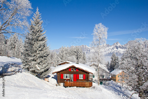 Winter in alps