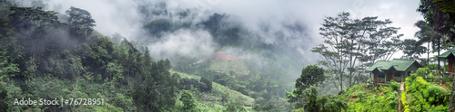 panorama of tea valey photo