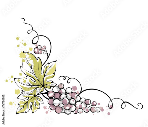 Watercolor illustration, vector -- bunch of grapes
