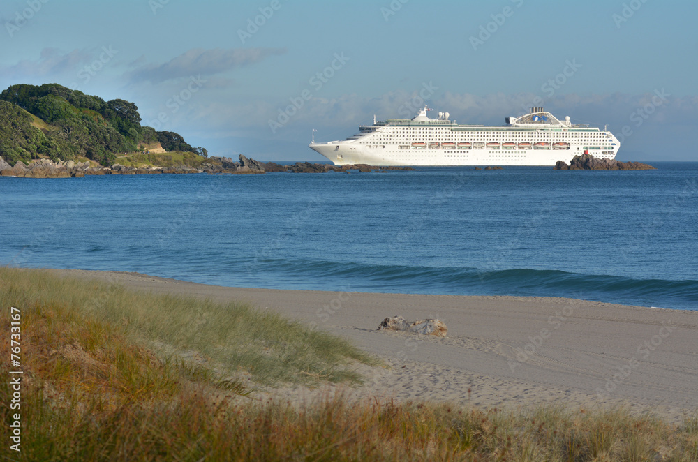 Cruise ship enters Port of Tauronga New Zealand
