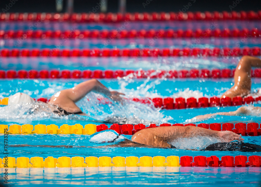 Frestyle swimming race