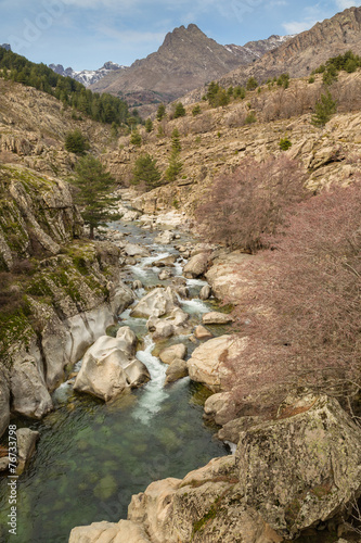Golo river and Mount Albanu in Corsica