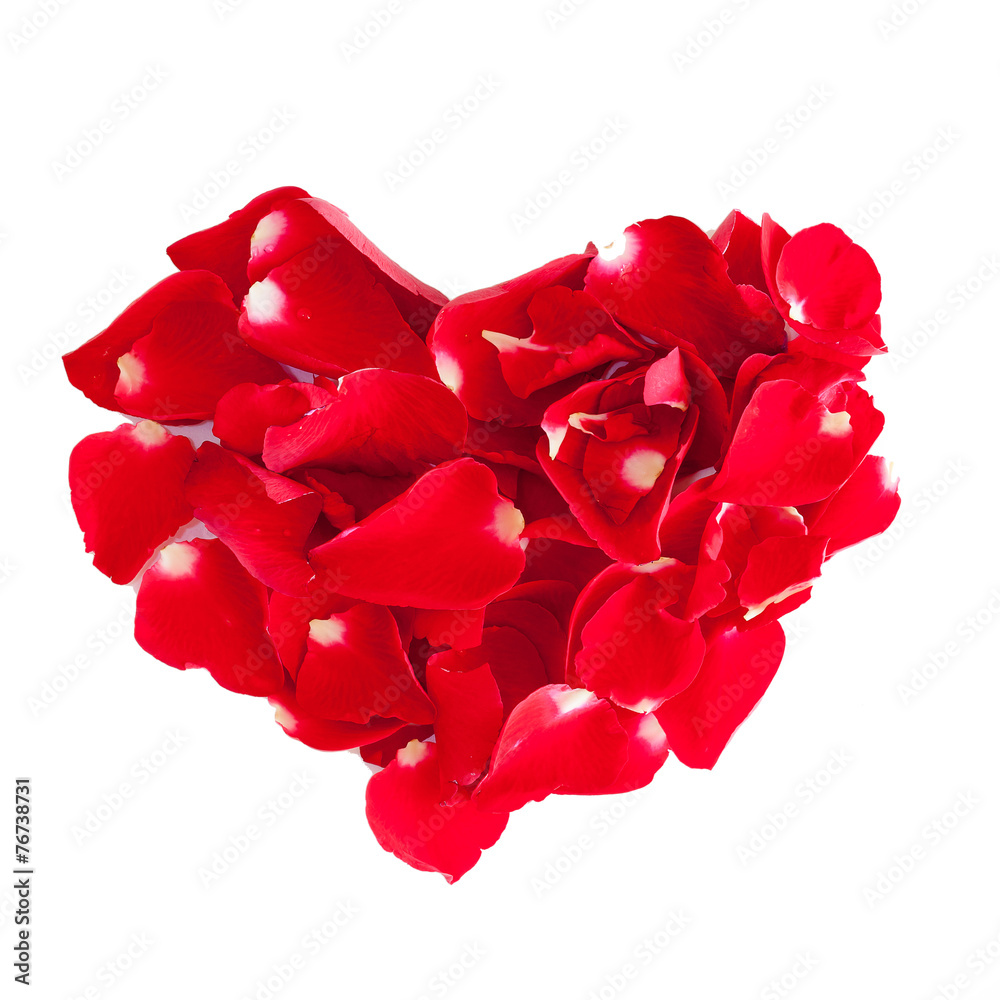 heart of red rose petals isolated on white heart of red rose petals isolated on white