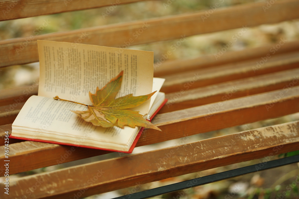 Open book with leaf lying on brown bench in autumn park Open book with leaf lying on brown bench in autumn park