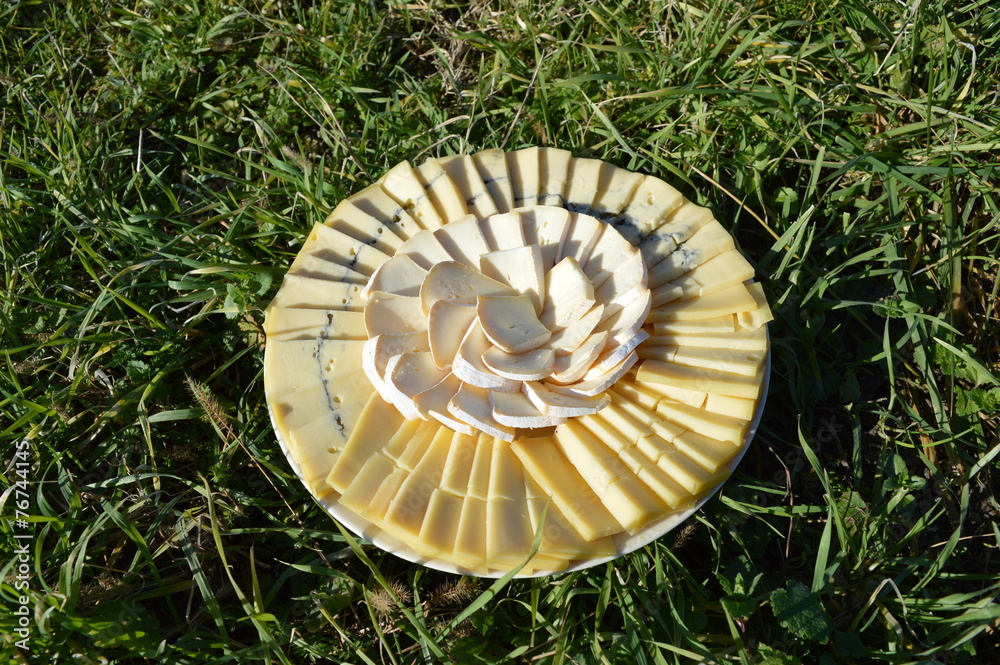 Assiette de fromage dans l'herbe