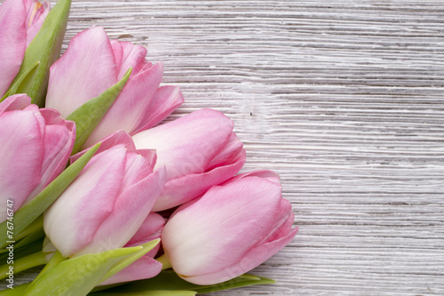 Tulip.