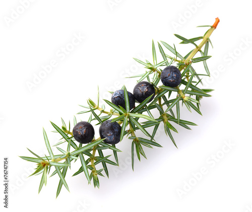 Juniper berries