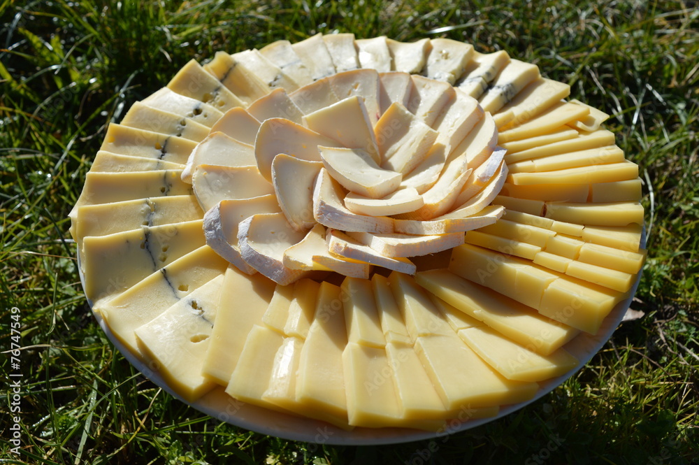 Assiette de fromage dans l'herbe