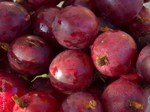 Fototapeta Naklejka Na Ścianę i Meble -  Harvested gooseberry fruits